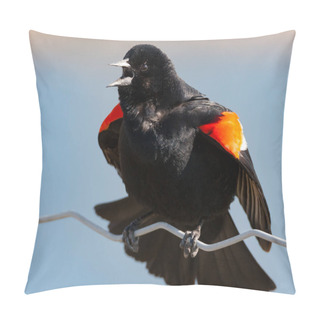 Personality  Extreme Close Up Of Shouting Red-winged Blackbird Pillow Covers