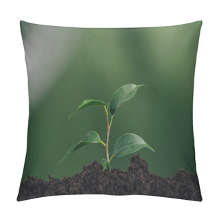 Personality  Close Up Of Young Green Plant In Ground On Blurred Background, Earth Day Concept Pillow Covers