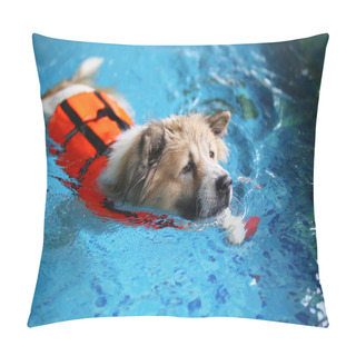 Personality  Thai Bangkaew Dog Wearing Life Jacket And Swimming In The Pool. Dog Swimming. Pillow Covers