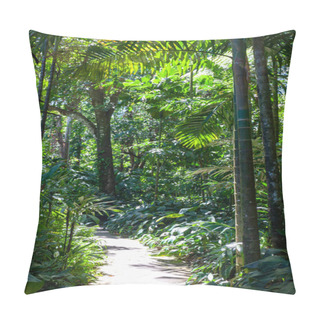 Personality  A Pathway In The Tropical Jungle Pillow Covers