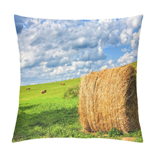 Personality  Field Of Hay Bales Pillow Covers