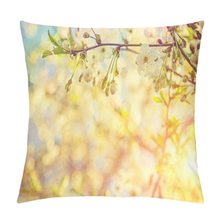 Personality  Blossoming Cherry Tree Close Up View Om Small Branch On Blurred  Pillow Covers