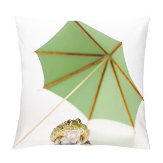 Personality  Selective Focus Of Cute Green Frog Under Small Paper Umbrella On White Background Pillow Covers