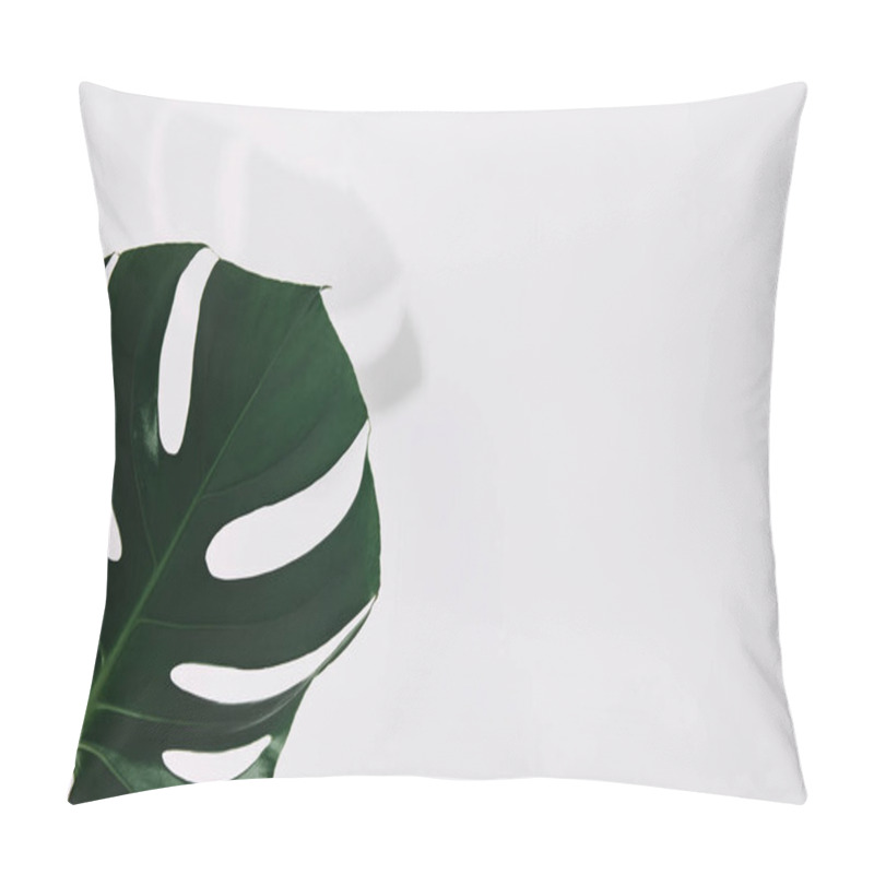 Personality  close-up shot of single green monstera leaf on white pillow covers