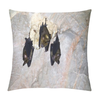 Personality  Three Bats In A Cave Pillow Covers