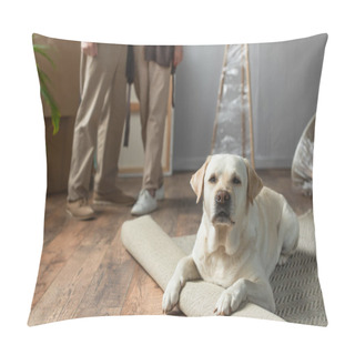 Personality  Cropped View Of Senior Couple Standing In New House And Labrador Dog Lying On Carpet On Foreground Pillow Covers