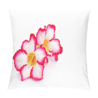 Personality  Close-Up Of Desert Roses Isolated On White Background  Pillow Covers