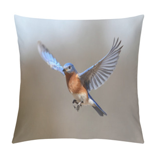 Personality  Bluebird In Flight Pillow Covers