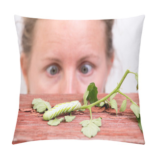 Personality  Woman Watching A Caterpillar Pillow Covers
