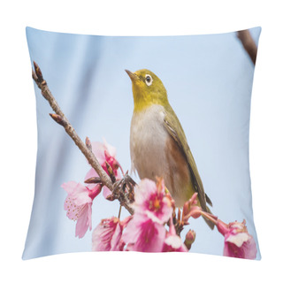 Personality  White-eye Bird On Cherry Blossom And Sakura Pillow Covers