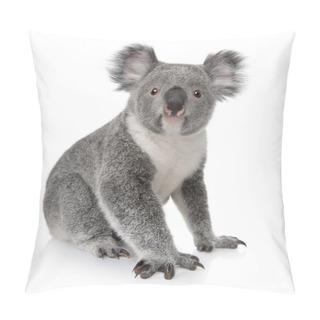 Personality  Young Koala, Phascolarctos Cinereus, 14 Months Old, In Front Of White Background Pillow Covers
