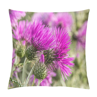 Personality  Purple Milk Thistle Flowers Pillow Covers