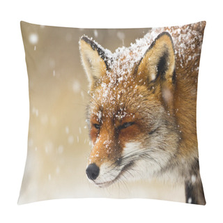 Personality  Red Fox In A Winter  Pillow Covers