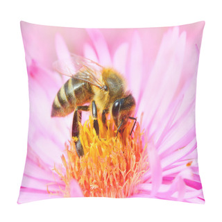 Personality  The European Honey Bee Pillow Covers