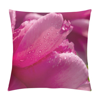 Personality  Chinese Peony Blossoms In Baixiang In Spring Pillow Covers