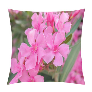 Personality  Pink Oleander Flowers (Oleander Nerium). Blooming Tree. Close Up. Soft Blurred. Pillow Covers