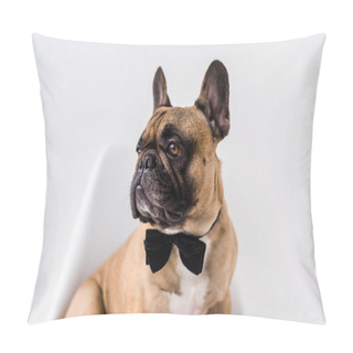 Personality  French Bulldog   Pillow Covers
