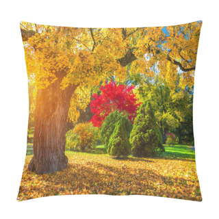 Personality  Autumn Scene, Fall,  Red And Yellow Trees And Leaves In Sun Light. Beautiful Autumn Landscape With Yellow Trees And Sun. Colorful Foliage In The Park, Falling Leaves Natural Background Pillow Covers