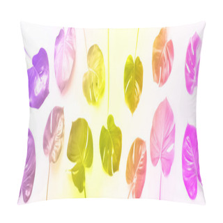 Personality  Pattern Of Tropical Monstera Leaves On Trendy Rainbow Gradient Background. Flat Lay. Top View. Pop Art Design, Creative And Exotic Summer Concept. Minimal Style. Banner In Neon Colors Pillow Covers