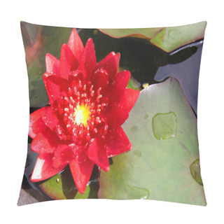 Personality  Red Lotus Pillow Covers
