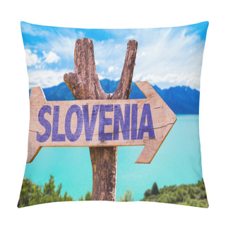 Personality  Slovenia Wooden Sign Pillow Covers