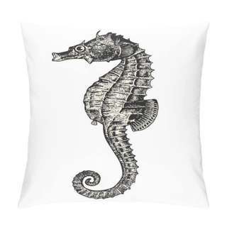 Personality  Vintage Animal Engraving / Drawing: Seahorse Or Hippocampus - Ocean Vector Design Element Pillow Covers