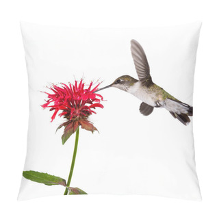 Personality  Hummingbird Sips Nectar Pillow Covers
