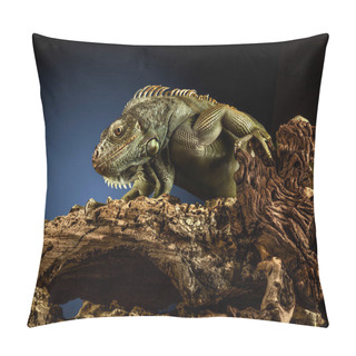 Personality  A Green Iguana On A Tree Branch. Pillow Covers