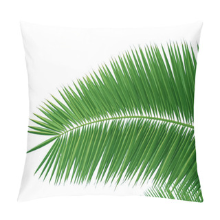 Personality  Palm Brunch Pillow Covers