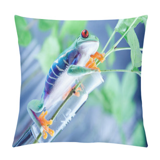 Personality  Frog In Lab! Pillow Covers