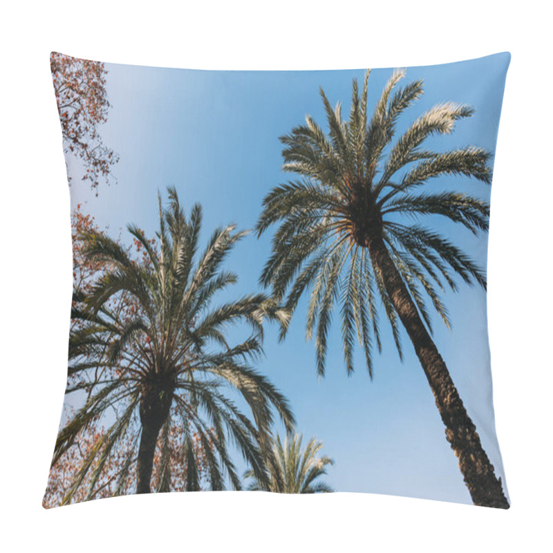 Personality  tall lush palm trees on blue sky background, barcelona, spain pillow covers