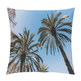 Personality  Tall Lush Palm Trees On Blue Sky Background, Barcelona, Spain Pillow Covers