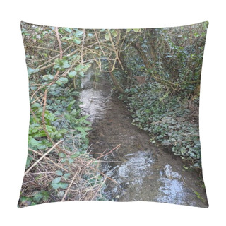 Personality  A Clear Stream Flows Through A Dense And Vibrant Green Forest, Surrounded By Towering Trees And Moss-covered Rocks. Pillow Covers