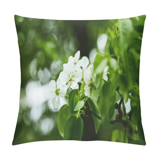 Personality  Close-up Shot Of Aromatic White Cherry Flowers On Tree Pillow Covers