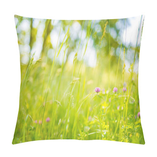 Personality  Nature Background Concept And Beautiful Summer Meadow Background. Inspirational Nature Closeup. Tranquil Nature Closeup, Calmness View And Colorful Natural Meadow On Defocused Background. Pillow Covers