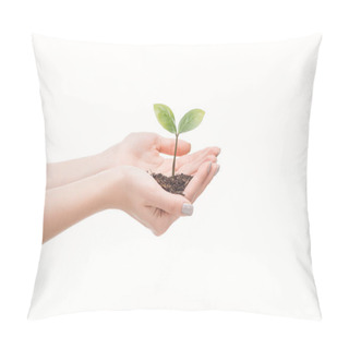 Personality  Cropped View Of Female Hands Holding Ground With Green Plant Isolated On White                                       Pillow Covers