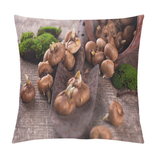 Personality  Flower Bulbs And Trowel Pillow Covers