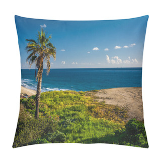Personality  Palm Tree On A Cliff Over The Pacific Ocean In San Clemente, Cal Pillow Covers