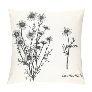 Personality  Hand-drawn Illustration Of Chamomile. Pillow Covers