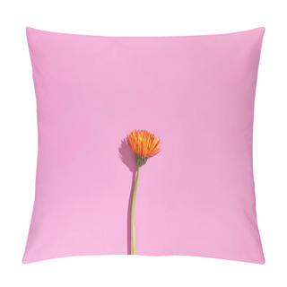 Personality  Orange Flower Isolated On Pink Background With Shadow Pillow Covers
