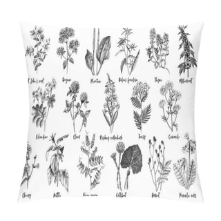 Personality  Hand Drawn Monochrome Set Of Medicinal Herbs Pillow Covers
