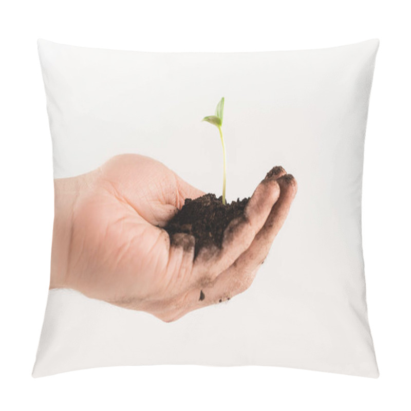Personality  Cropped View Of Man Holding Soil With Young Plant Isolated On White, Ecology Concept Pillow Covers