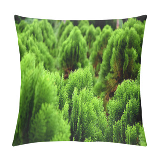 Personality  Beautiful Bright Green Leaves In The Garden Pillow Covers