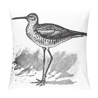 Personality  Stilt Sandpiper Is A Small Shorebird, Vintage Line Drawing Or Engraving Illustration. Pillow Covers