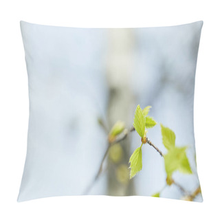 Personality  Selective Focus Of Green Leaves On Tree Branch In Spring Pillow Covers