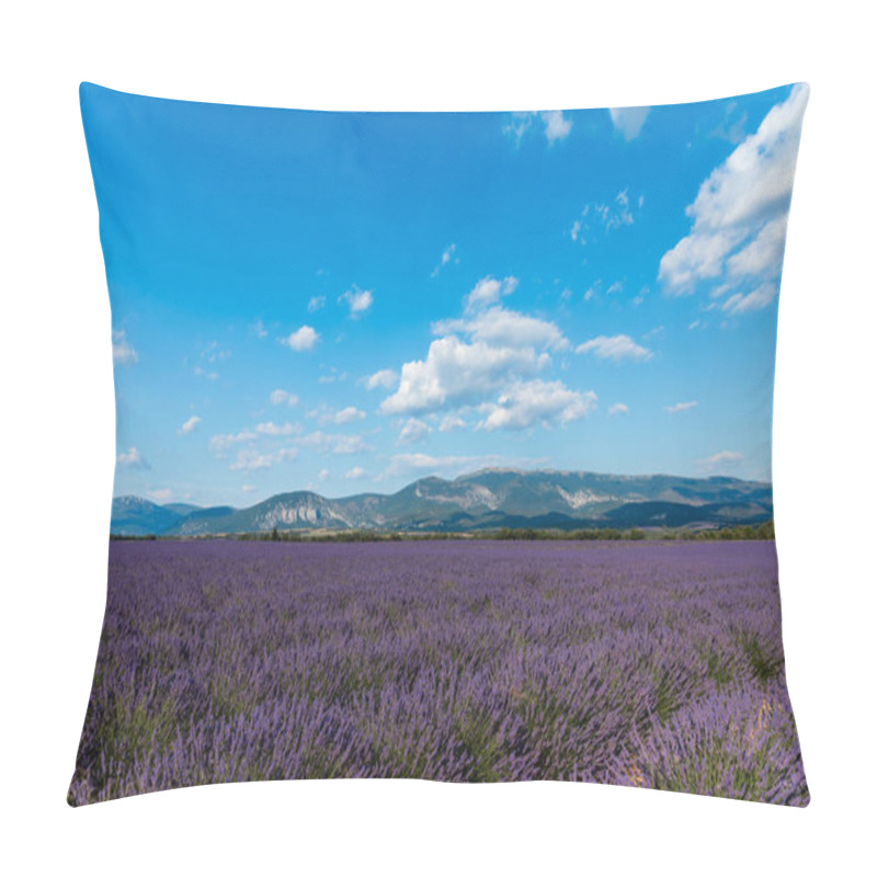 Personality  Beautiful Blooming Lavender Flowers And Distant Mountains In Provence, France  Pillow Covers