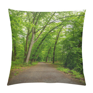 Personality  Walking Path In Beautiful, Old Deciduous Forest In Konopiste, Czech Republic Pillow Covers