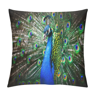 Personality  Beautiful Peacock Pillow Covers