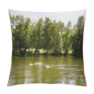 Personality  Group Of Four Swans Swimming In A River Pillow Covers