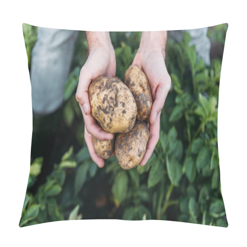 Personality  Farmer Holding Potatoes In Field Pillow Covers